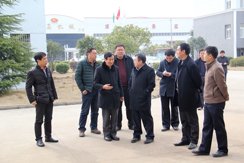 3黃文虎縣長一行來公司考察.jpg