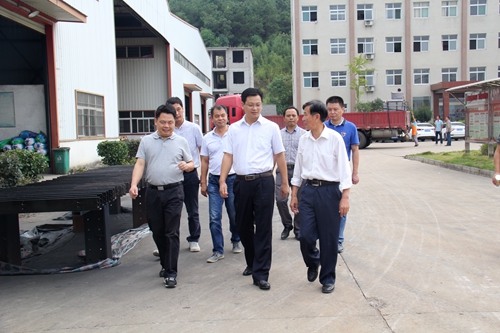 4、常務副縣長鮑縣長一行來公司視察.jpg